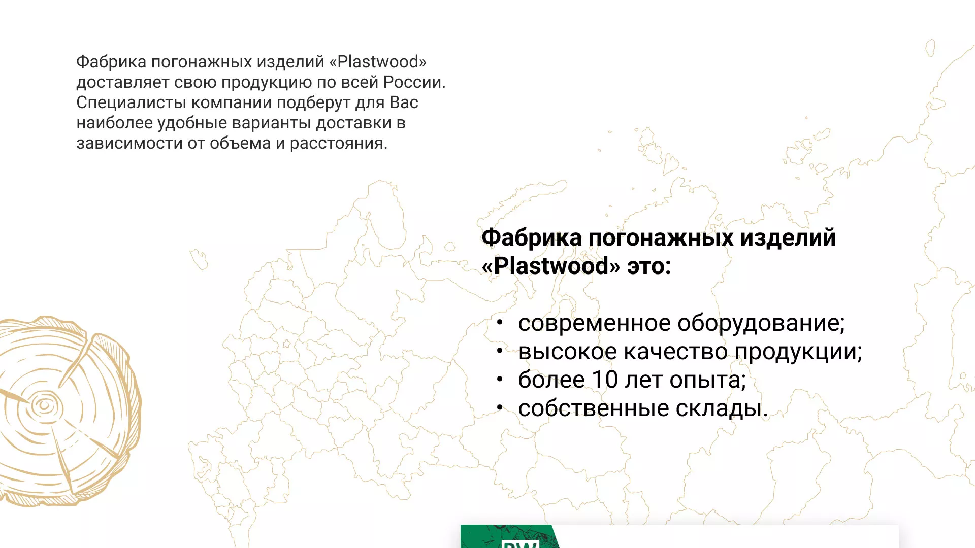 Разработка айдентики и сайта компании «Plastwood» в Райчихинске