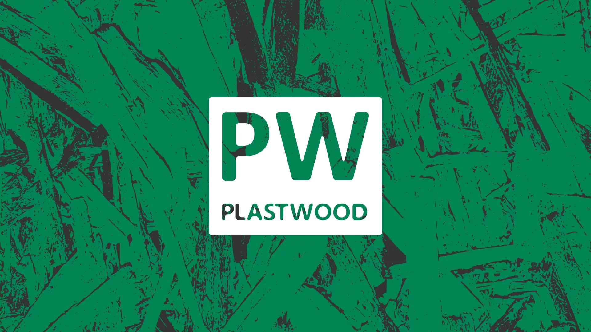 Разработка айдентики и сайта компании «Plastwood» в Райчихинске