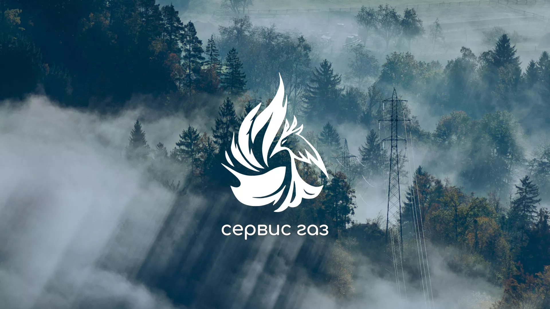 Создание сайта компании «Сервис газ» в Райчихинске